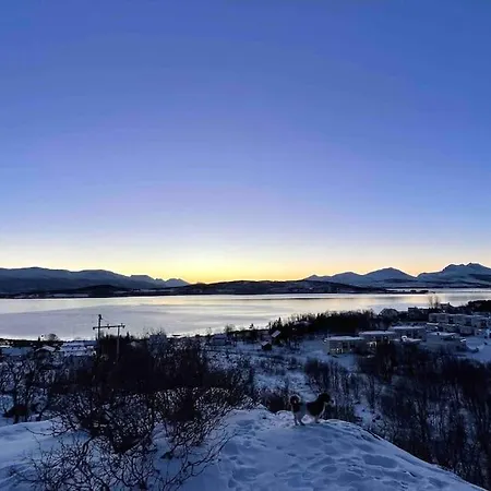 Fin Leilighet Med En Nydelig Sjoutsikt Og Fjell * Тромсё